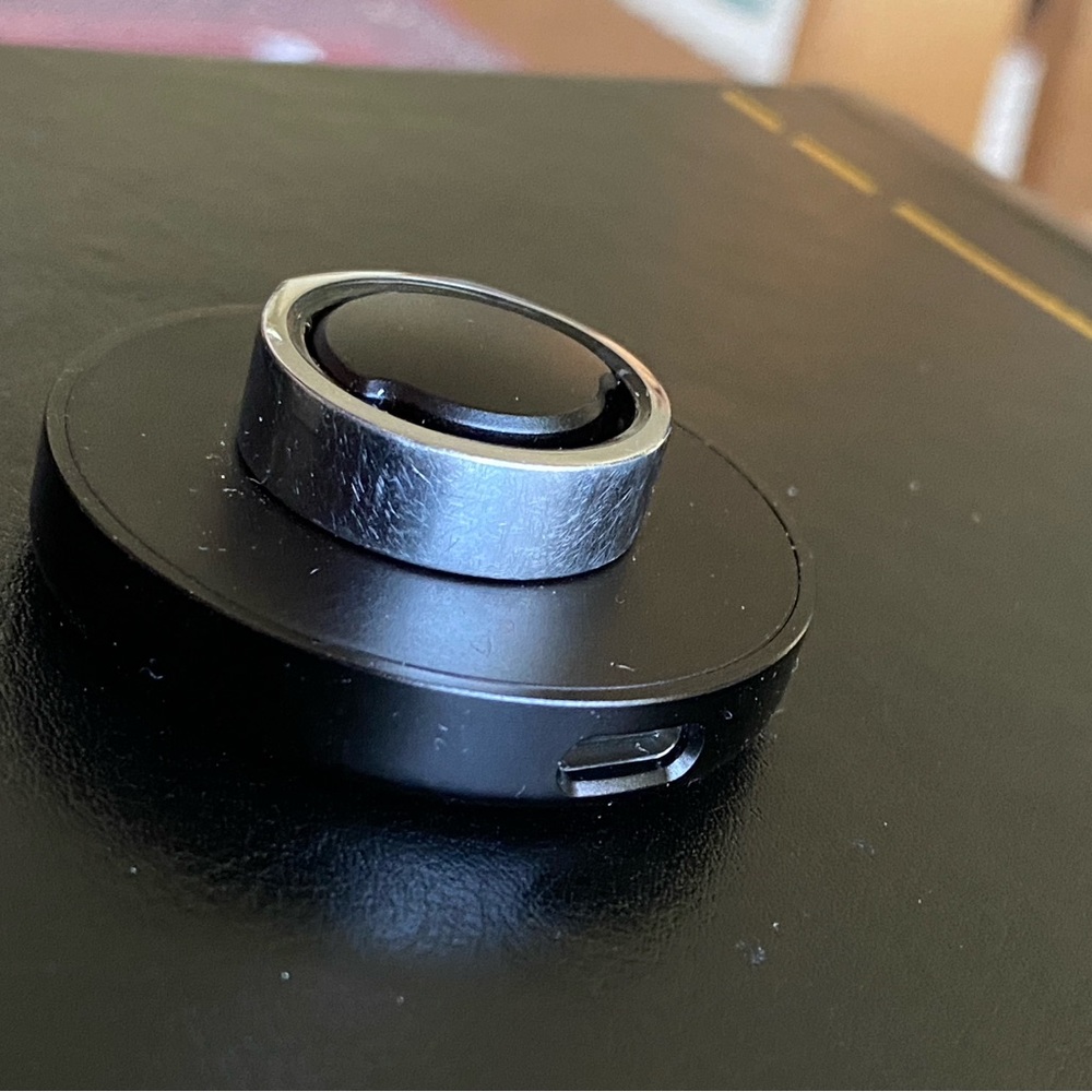 Oura Horizon Silver Wearable Smart Ring